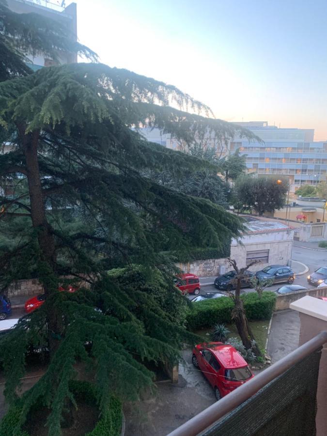 Residenza Giovanni Paolo Secondo- Casa Sull'Albero Bari Eksteriør bilde